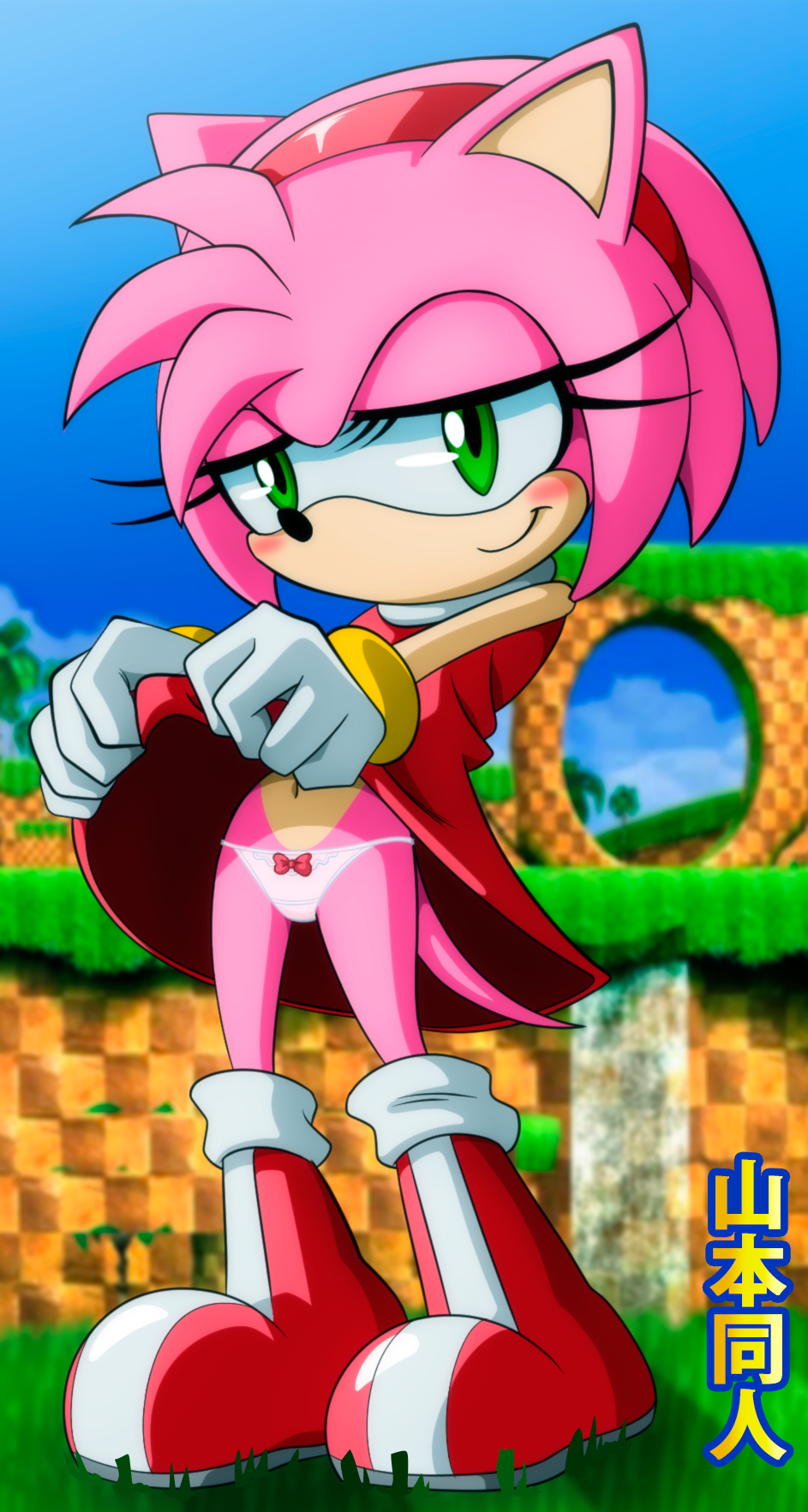 Amy Rose / SONIC