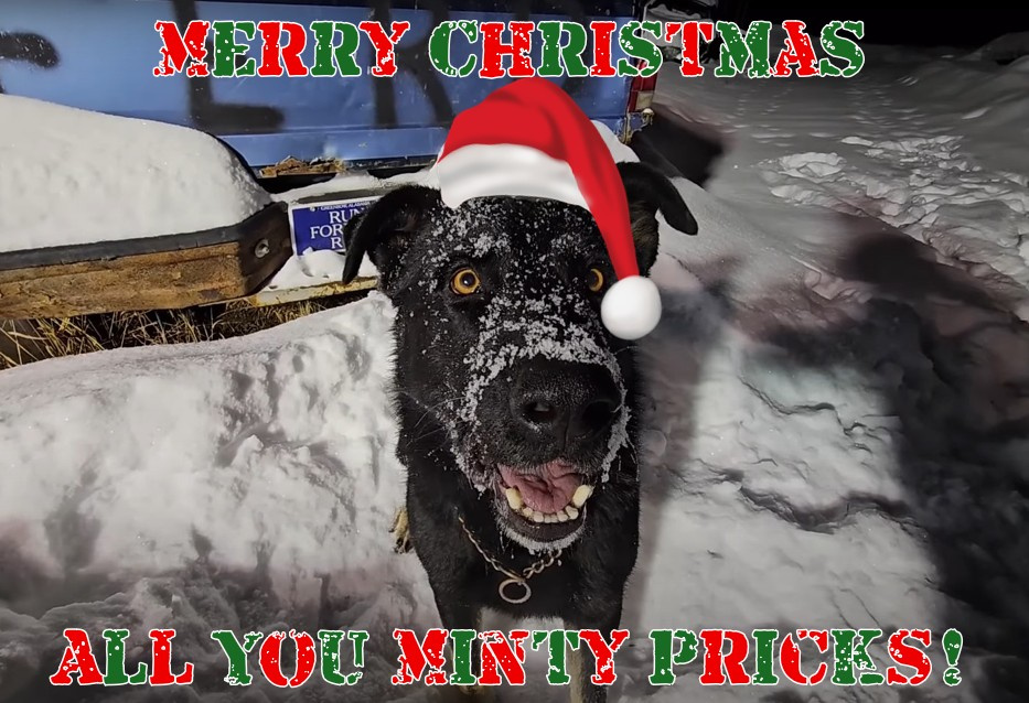 Merry Christmas and some minty updated playlists to boot!